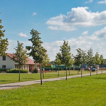Ferienwohnung Hof Maiweg Alt Schonau Luaran gambar