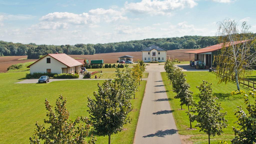 Ferienwohnung Hof Maiweg Alt Schonau Luaran gambar